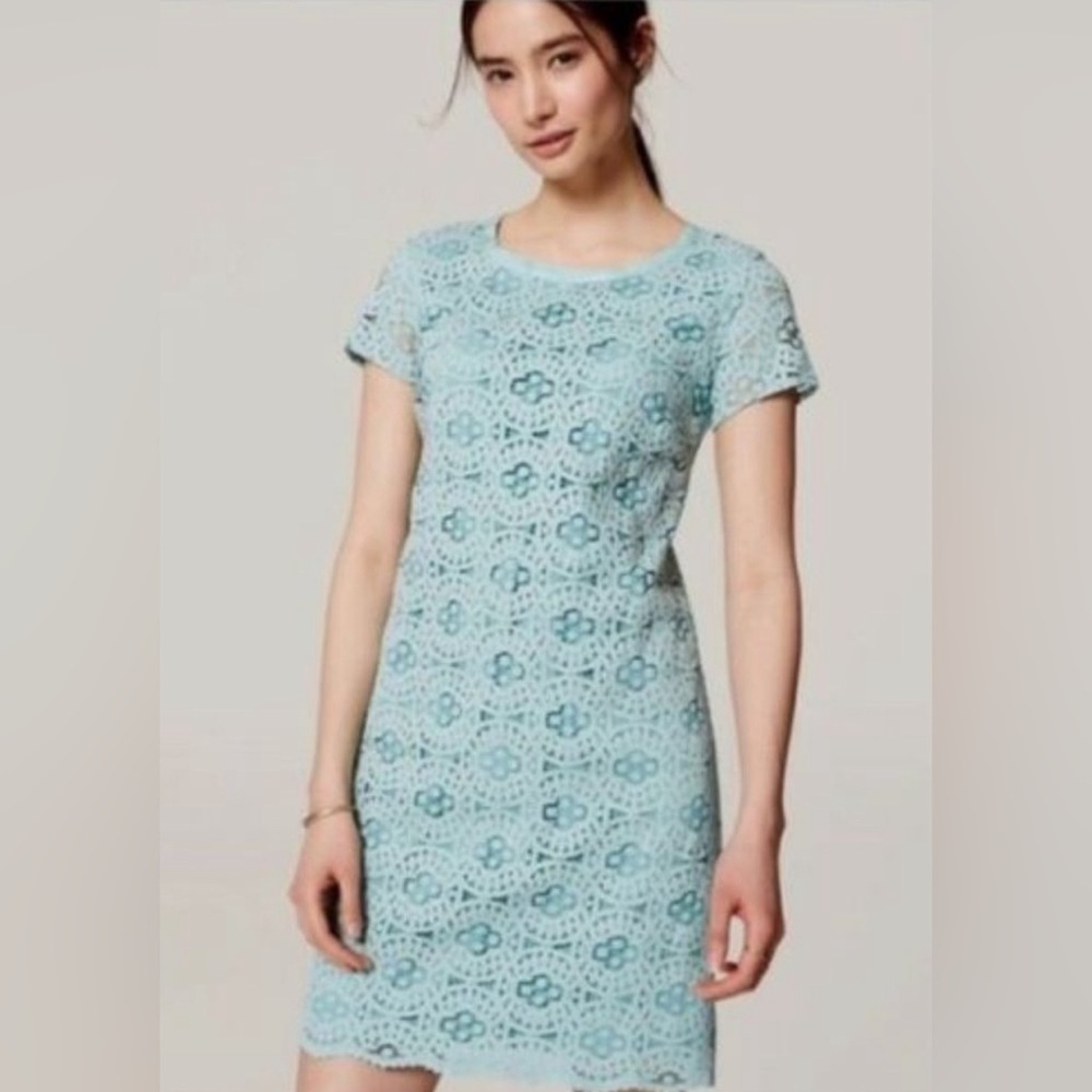 Ann Taylor Loft S 4 Seafoam Green Shift dress Cap Sleeve Lace Work Cocktail